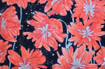 WhatsApp Image 2024-02-07 at 15.56.09