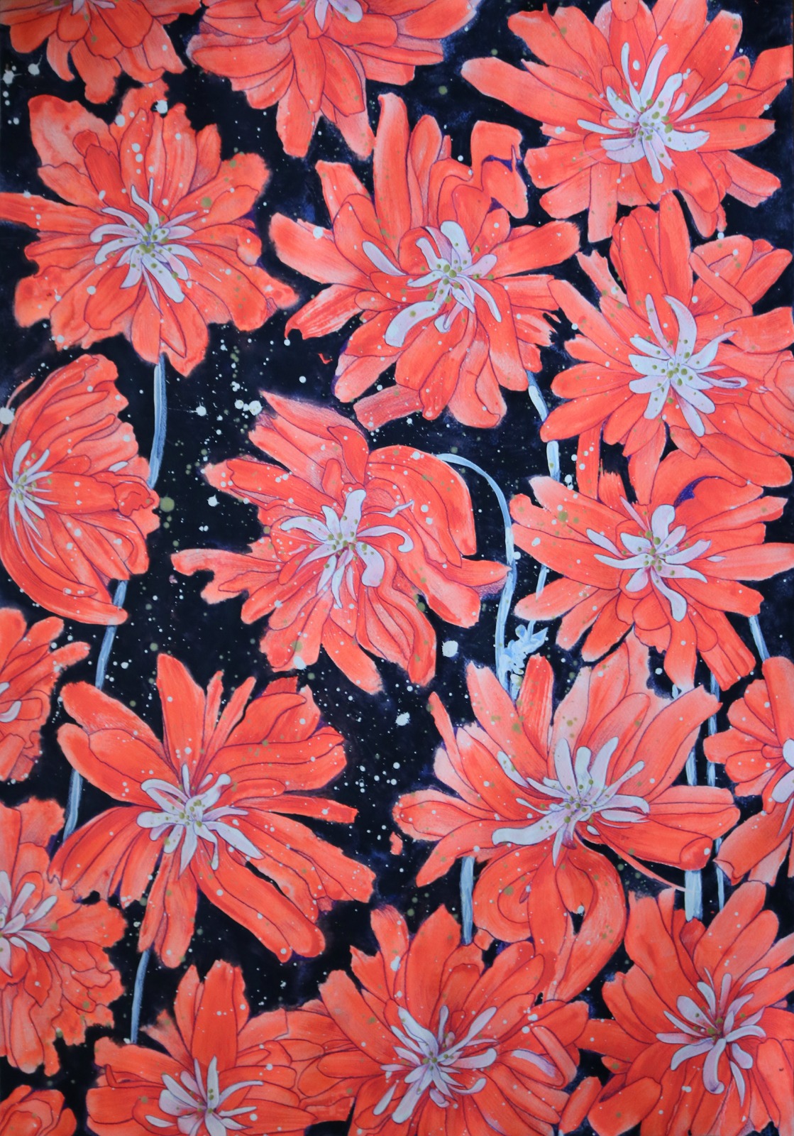 WhatsApp Image 2024-02-07 at 15.56.09