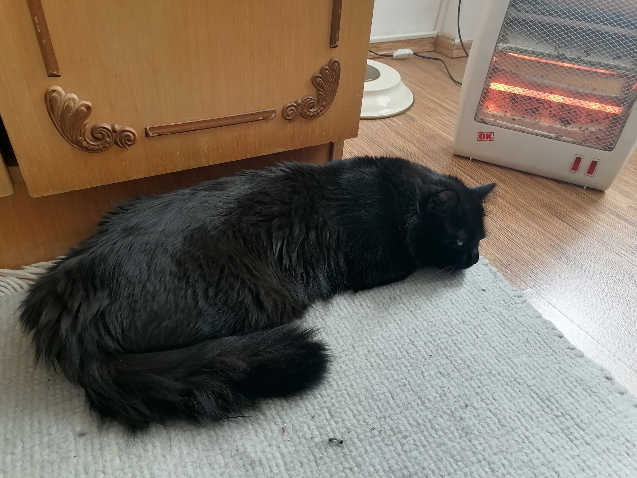 462145254_2905469826258493_6844427806781777973_n