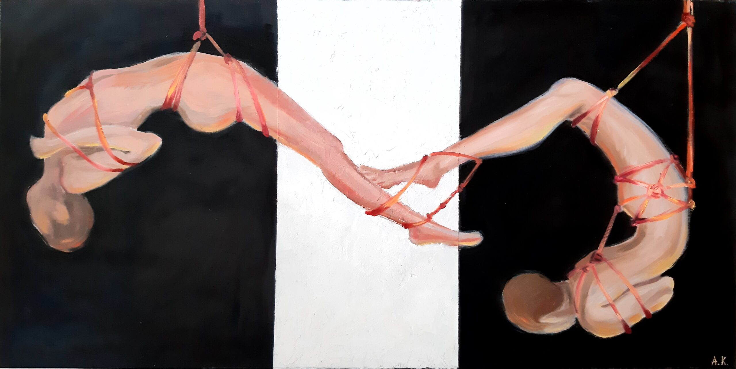 u2477-20221105_114407