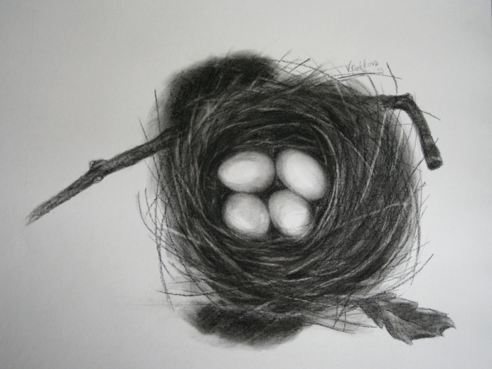 477787200_1351499782957903_466454195412663381_n-1